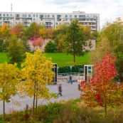 Espace vert non entretenu. Exterieur de la Gare Lille Europe. Coin de verdure non entretenu, a cote d'espaces tres entretenus. Baies vitree. Milieu urbain. Vegetation. train. Transports en commun. Parc Matisse - Euralille