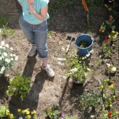 Jardin en ville. Printemps. Bambou.
Femme en train de jardiner et de planter des fleurs dans son jardin. Vue en plongee,  du dessus. 

Petit jardin individuel des maisons type 1930 du departement du Nord.