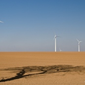 Champ d'éoliennes, avec ombre d'arbre en premier plan.