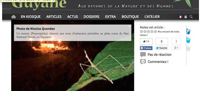 Une Saison en Guyane – Web