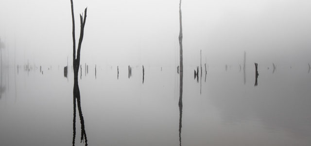 Lac de Petit Saut